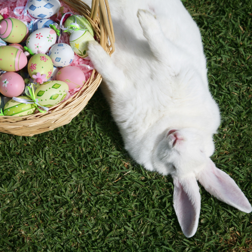 toddler Easter basket stuffers