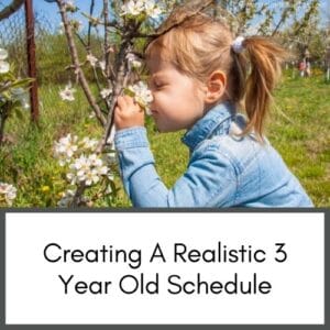3 year old schedule - toddlers