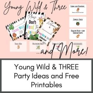 young wild and three party ideas - toddlers