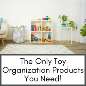 toy organization toddlers
