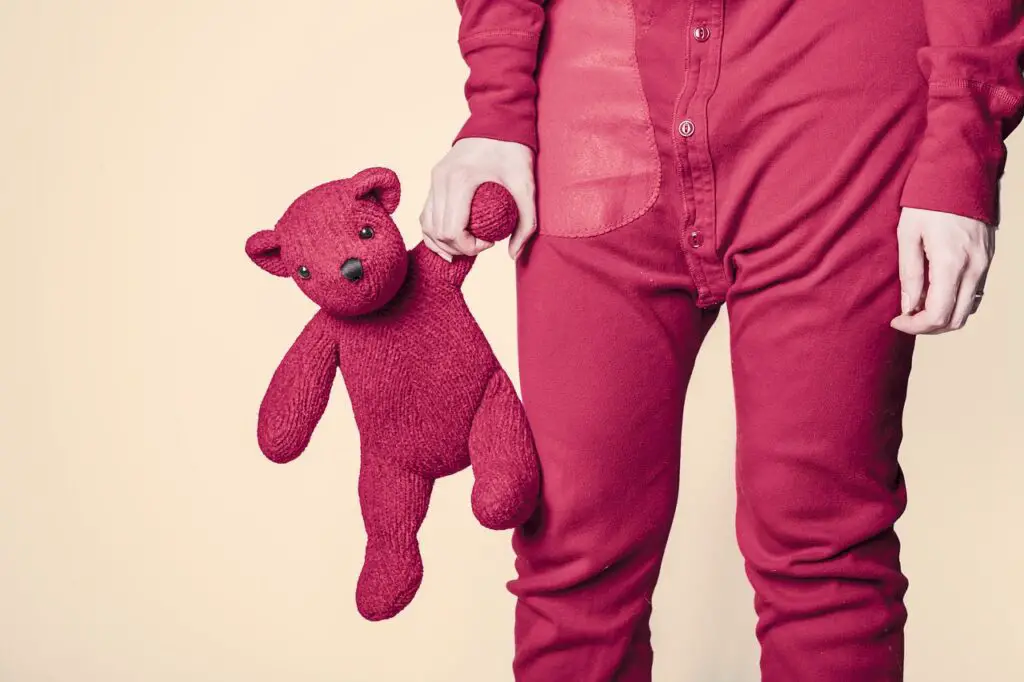 teddy bear, toy, red-567952.jpg