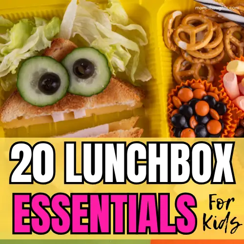 lunchbox essentials